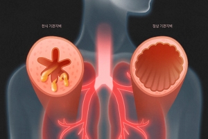 人体结构咽喉肺部医学图片PSD分层素材