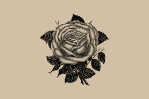 复古手绘玫瑰花花朵插画矢量素材