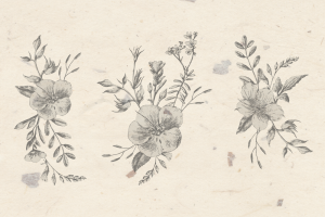 复古水彩手绘花朵花卉植物插画矢量素材