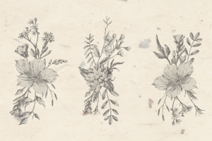 复古水彩手绘花朵花卉植物插画矢量素材