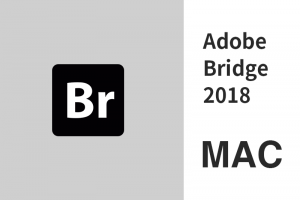 Adobe Bridge 2018 MAC版 BR
