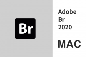Adobe Bridge 2020 MAC版 BR