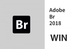 Adobe Bridge 2018 WIN版 BR