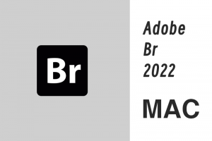 Adobe Bridge 2022 MAC版 BR