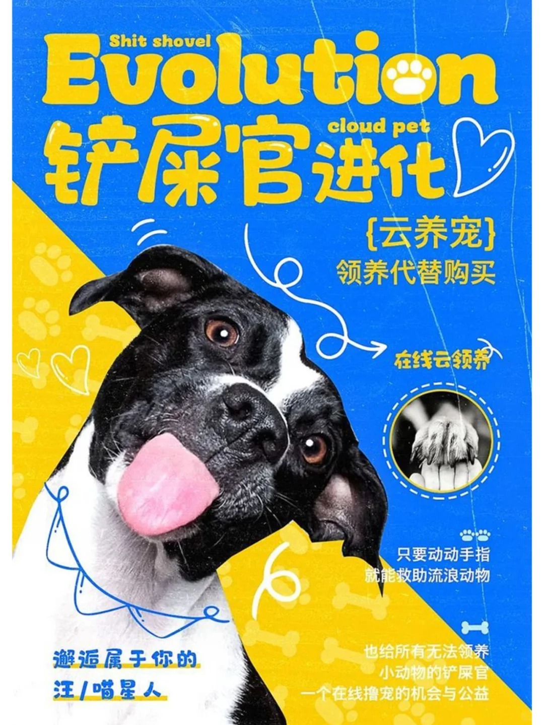 审美积累 · 灵感积累 · 宠物海报 · 视觉设计 · 红喵教育 · 平面设计|主视觉 / KV 设计灵感合集