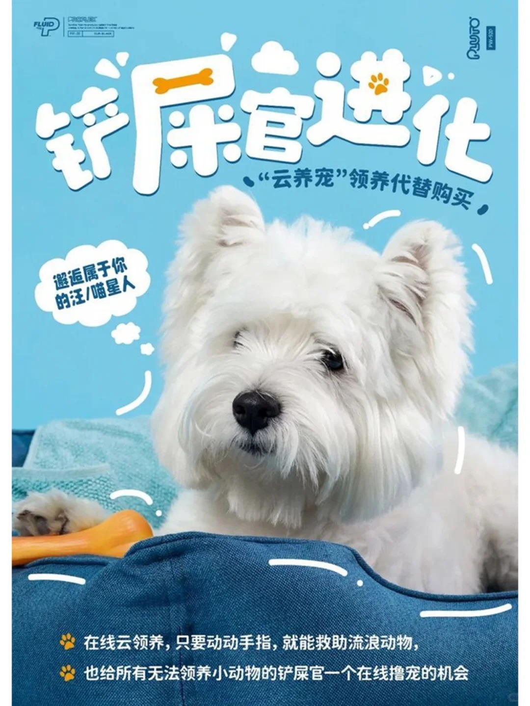 审美积累 · 灵感积累 · 宠物海报 · 视觉设计 · 红喵教育 · 平面设计|主视觉 / KV 设计灵感合集