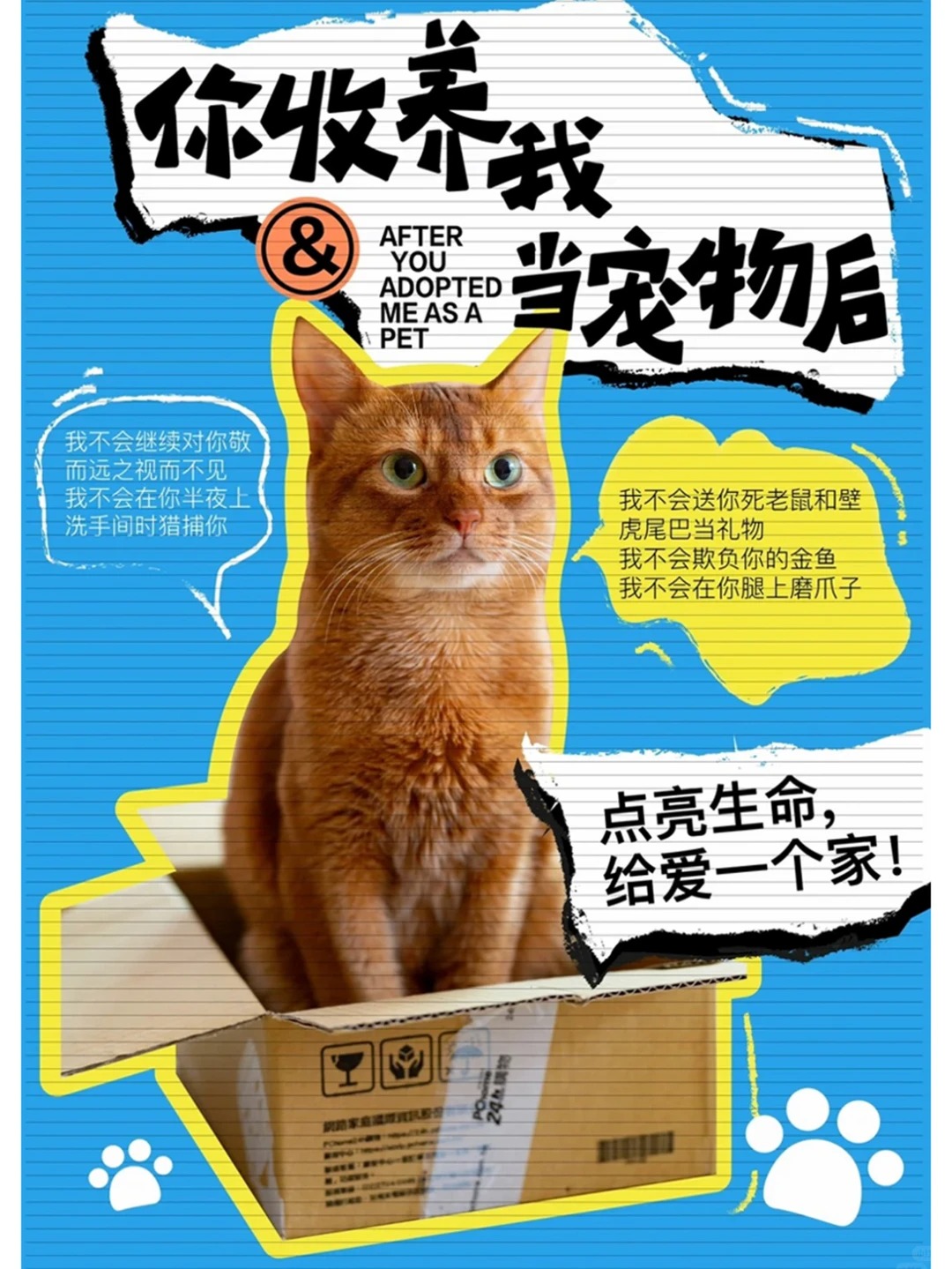 审美积累 · 灵感积累 · 宠物海报 · 视觉设计 · 红喵教育 · 平面设计|主视觉 / KV 设计灵感合集