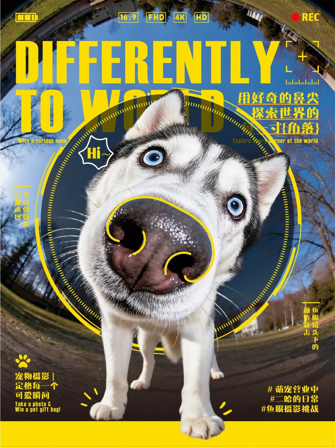 海报设计 · 海报 · 版式设计 · 动物 · ai关键词 · 设计教程|主视觉 / KV 设计灵感合集