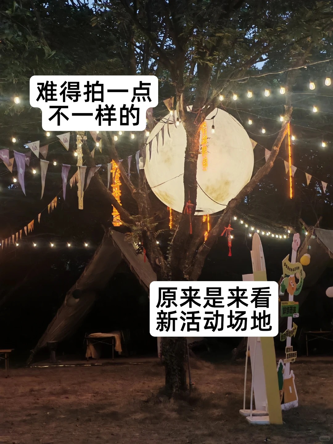 婚礼与年会策划 · 场景美陈灵感